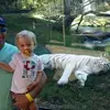Jeffrey Boutwell - @user812311585079 - TikTok