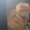 braden jeffrey - @braden.jeffrey - TikTok