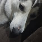Braden Jeffrey - @bradenjeffrey - Instagram