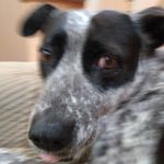 Jeffrey Breault - @breaultjeff - Instagram