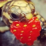 Jeffrey James Brecht - @jeffreyjamesbrecht - Instagram