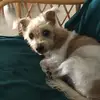 brettjeffrey265 - @brettjeffrey265 - TikTok