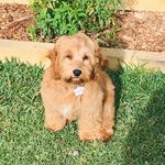 JeffandDale Burley - @jeffreyburley - Instagram