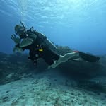 Jeffrey Burnside - @burnssquad - Instagram