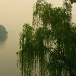 Jeffrey Cason - @jwcason - Instagram