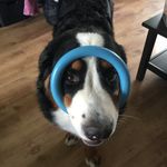 Jeffrey Catersels - @jeffrey.catersels - Instagram