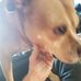 Jeffrey Caylor - Facebook