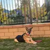 Jeff Chabot - @jeff.chabot - TikTok
