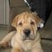 Jeff Christopherson - Facebook