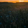 clemjeffrey633 - @clemjeffrey633 - TikTok