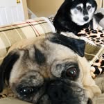 Jeffrey Clemens - @_jeffrey_clemens_ - Instagram