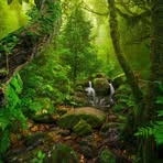 Jeffrey Cook - Facebook