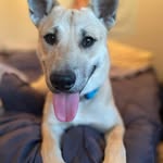 Jeffrey Cook - @jeffreycook105 - Instagram