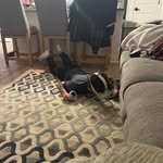 Jeffrey Cook - @jj_spams26 - Instagram