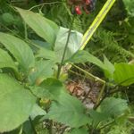 Jeffrey Coomer - @jeffreycoomer - Instagram
