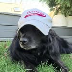 Jeffrey Courter - @courterside - Instagram