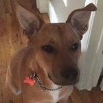 Jeffrey Scott Cuevas - @jeffreyscottcuevas - Instagram