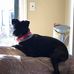 Jeffrey Dame - Facebook