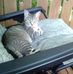 Jeffrey Darrow - Facebook