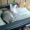 jeffreydarrow625 - @jeffreydarrow625 - TikTok