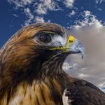 Jeffrey B Davidson - @jeffreydavidsonphotography - Instagram
