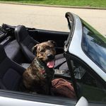 Jeffrey Deck - @deckjeffrey - Instagram