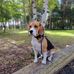 Jeffrey Deckers - Facebook