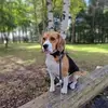 jeffreydeckers1 - @jeffreydeckers1 - TikTok