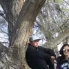 Jeffreydelanoy - @lil.poptarets22 - TikTok