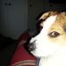 Jeffrey Denham - Facebook