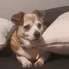 Jeffrey Denham - @jeffrey.denham1 - TikTok