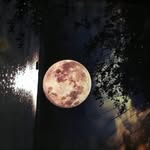 Jeffery Desantis - @desantisjeffery - Instagram
