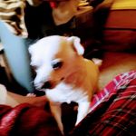 Jeffrey DeWITT - @dewitt13 - Instagram