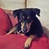 jeffrey doering - @jeffreydoering - TikTok