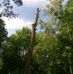 Jeffrey Dombrowski - Facebook