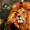 jefferylondon - @jefferylondon - TikTok