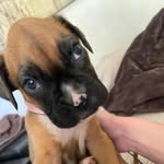 Carey-Leigh Jeffrey Dörr - @carey.jeffrey.dorr - Instagram