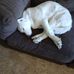 Jeffery Driggers - Facebook