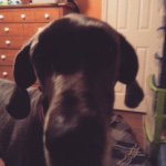 Jeffrey Landon Driggers - @tennessee123457 - Instagram