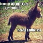 jeffreydriggers - @jeffreydriggers82 - Instagram