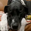 Jeffrey Duda - @neuroimager - TikTok