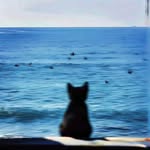 Jeffrey Santos Duque - @your__jeffrey - Instagram