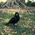 Jeffrey - @eagle_eye_jeffrey - Instagram