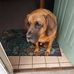 Jeffrey Earp - Facebook