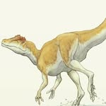 Jeffrey Ebert - @slightly_upset_deltadromeus - Instagram