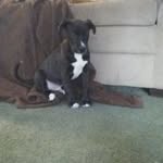 Jeffrey Edwards - @jeffrey.edwards.14 - Instagram