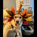 Jeffrey Elbaum - Facebook