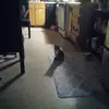 Jeffrey Elliott - @jeffrey.elliott31 - TikTok