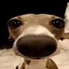 Jeffrey Hemmer - @jeffreyhemmer - TikTok