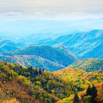 Jeffrey Engler - @jeffreyengler64 - Instagram